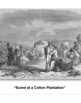 Jackson How They Worked 01 Cotton Plantation